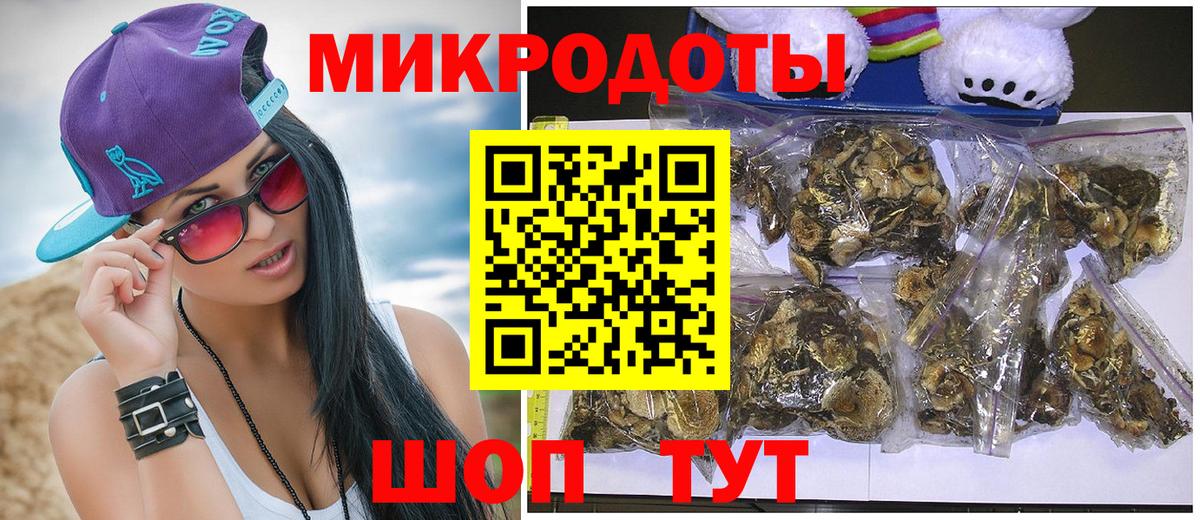 Сочи  Псилоцибиновые грибы Psilocybine cubensis  Вход с VPN 