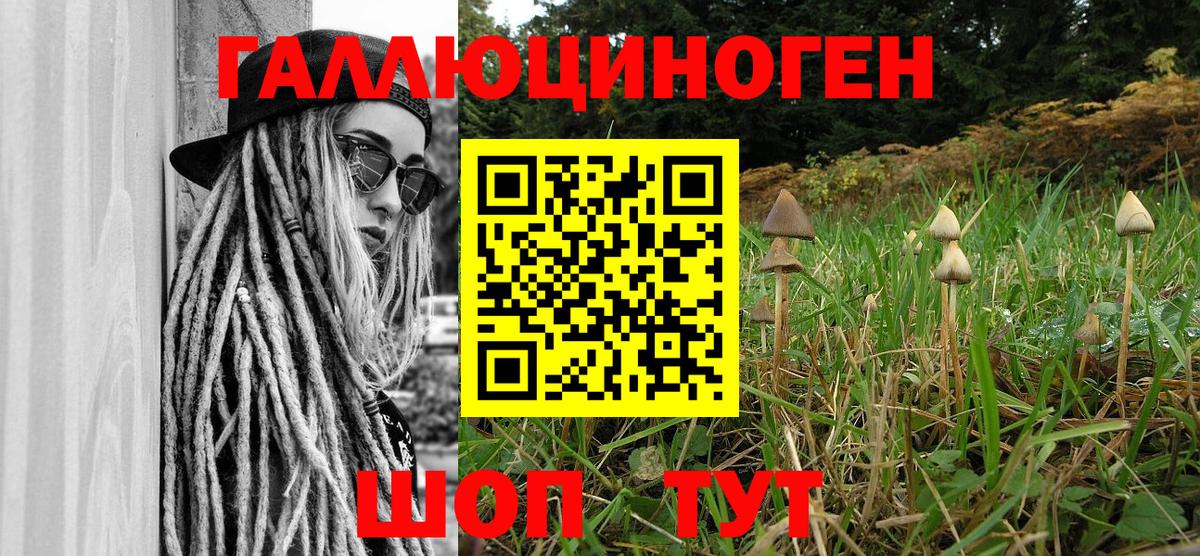 Псилоцибиновые грибы мицелий Сочи